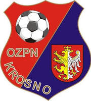 Puchar Ligi Orlika