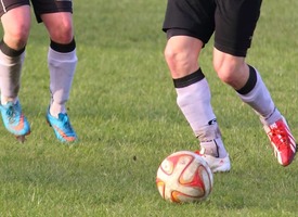 Terminarze seniorów